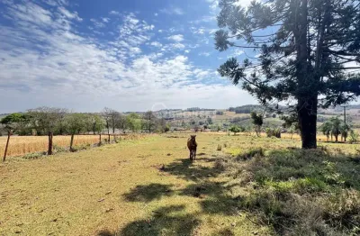 Chácara para venda em londrina, patrimônio regina, 3 dormitórios, 1 suíte, 4 banheiros