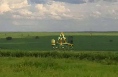 Fazenda para venda na região de presidente prudente - sp - confira!!!!