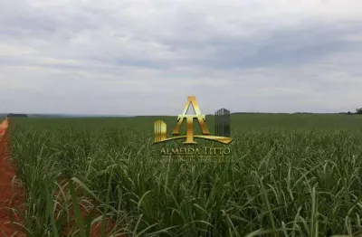 Fazenda à venda na Estrada Estrada Da Velha De Tambaú, 1, Zona Rural, Casa Branca