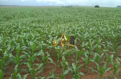 Fazenda à venda na Rotatória Manoel de Paula Sad, 2, Centro, Marília