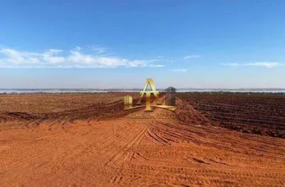 Fazenda para venda na região de ribeirão preto - sp - confira!!!!