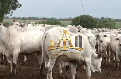 Fazenda com 1 dormitório à venda, 112000000 m² por r$ 650.000.000,00 - mansões concordia - unaí/mg