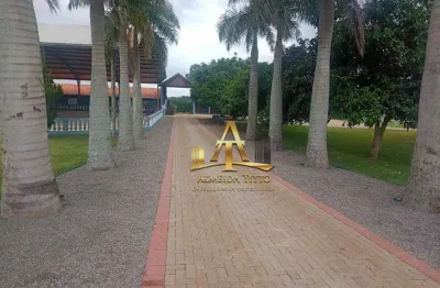 Fazenda com 5 salas à venda na Praça Chico Vieira, 20, Centro, Quadra