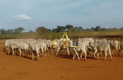 Fazenda à venda na Avenida Aníbal De Tolêdo, 61638, Centro, Poconé