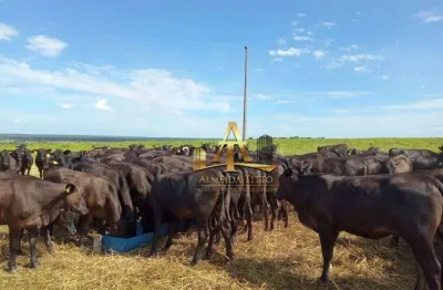Fazenda com 1 sala à venda na Rua Antônio Maria Coelho, 13000, Centro, Bela Vista