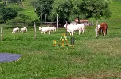 Fazenda com 2 salas à venda na Fazenda Gleba Vista Alegre, 2508, Zona Rural, Pedra Preta