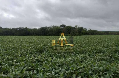 Fazenda com 1 sala à venda na Estrada Estadual Mt 338, 7817, Zona Rural, Paranatinga