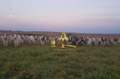 Fazenda com 1 sala à venda na Área Rural, 1130, Área Rural de Marília, Marília