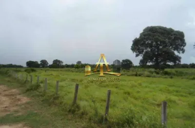 Fazenda com 1 sala à venda na Rua Nossa Senhora Aparecida, 88000, Zona Rural, Poconé