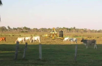 Fazenda com 1 sala à venda na Rodovia Br-070, 62000, Zona Rural, Cáceres