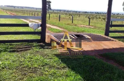 Fazenda com 1 sala à venda na Rua Rui Barbosa, 800, Zona Rural, Campo Grande