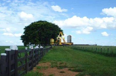 Fazenda com 1 sala à venda na Área Rural, 2044, Área Rural de Marília, Marília