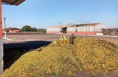 Fazenda à venda na Estrada ÁRea Rural, 1333, Zona Rural, Piumhi