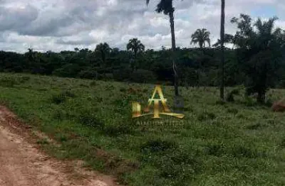 Fazenda à venda - zona rural - paraiso das águas/ms