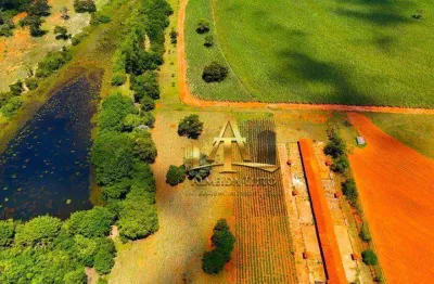 Fazenda com 1 sala à venda na Rodovia Cesário José Castilho, 107, Zona Rural, Arealva