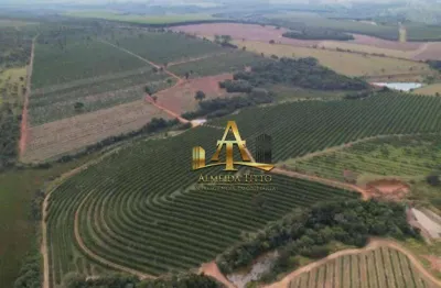Fazenda com 1 sala à venda na Rua Professor Martinho De Morães, 170, Área Rural de Itapetininga, Itapetininga