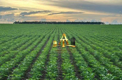 Fazenda com 1 sala à venda na Rodovia Br-158, 39000, Zona Rural, Confresa