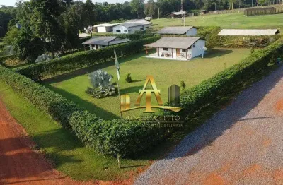 Fazenda com 1 sala à venda na Rodovia Br-153, 6400, Zona Rural, Nova Mutum