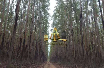 Fazenda com 1 sala à venda na ÁRea Rural, 14600, Zona Rural, Brasilândia de Minas