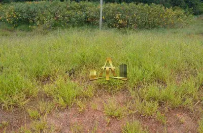 Terreno em condomínio fechado à venda na Estrada Ribeirão, 1800, Chácara Roselândia, Cotia