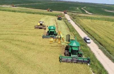 Fazenda à venda de soja/arroz/pecuária - são gabriel/rs