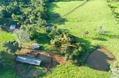 Fazenda com 1 sala à venda na Fazenda Colônia Piquiri, 750, Zona Rural, Palmital