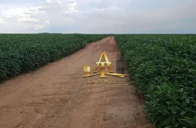 Fazenda com 1 sala à venda na ÁRea Rural, 28860, Zona Rural, São Félix do Araguaia
