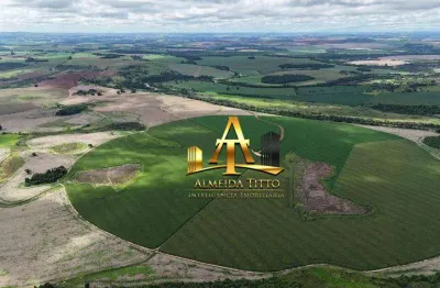 Fazenda com 1 sala à venda na Rodovia Raposo Tavares, 205, Centro, Paranapanema