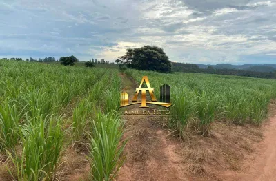 Fazenda com 1 sala à venda na Rua do Comércio, 212, Zona Rural, Ribeirão Bonito