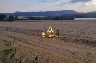 Fazenda à venda na Avenida João Batista Lima Figueiredo, 286, Área Rural de Mococa, Mococa