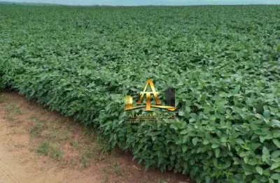 Fazenda com 1 sala à venda na Área Rural, 454, Área Rural de Marília, Marília