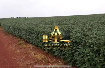 Oportunidade Fazenda Dupla Aptidão à Venda - Zona Rural - Caldas Novas/GO