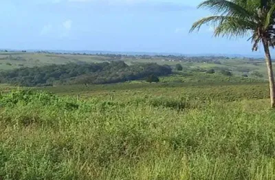 Chácara / sítio à venda no Ururaí, Campos dos Goytacazes 