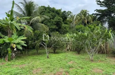 Chácara / sítio com 3 quartos à venda no ernesto machado, são fidélis , 100 m2 por r$ 350.000