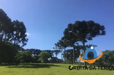 Sítio à venda em Tijucas do Sul-PR, bairro Rural, com 367.500,00 m² de área!