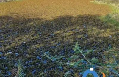 Chácara à venda em Pinhais-PR, bairro Weissópolis, com 22.000m² de área - não perca essa oportunidade!