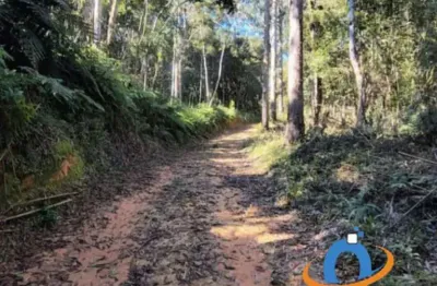 Chácara de 20.000m² no Centro de Tijucas do Sul-PR: sua oportunidade de adquirir um pedaço do paraíso!