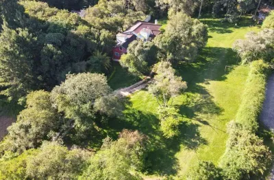 Terreno à venda em santa felicidade, 4961 m² por r$ 5.200.000 - santa felicidade - curitiba/pr