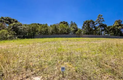 Terreno à venda, 884 m² por R$ 2.390.000,00 - Santa Felicidade - Curitiba/PR