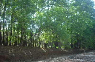Casa para alugar na Vila Independência, Bauru 