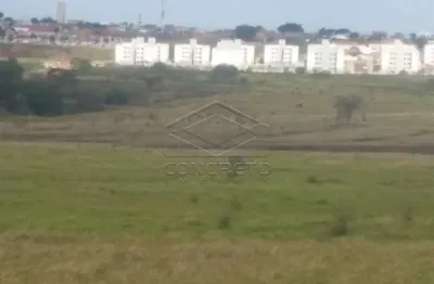 Casa à venda no Parque Roosevelt, Bauru 