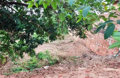 Casa à venda no Jardim Bela Vista, Bauru 