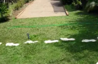 Fazenda à venda no Jardim Recreio Lago dos Paturis, Pederneiras 