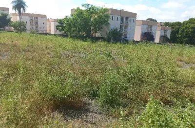 Casa à venda na Vila Giunta, Bauru 