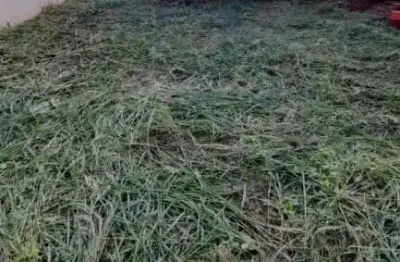 Casa à venda no Jardim Campos Prado, Jaú 