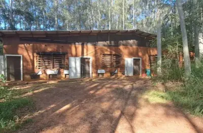 Área rural com 6 alqueires - estância - cachoeirinha