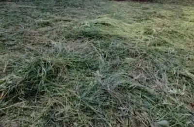 Casa à venda no Jardim Campos Prado, Jaú 