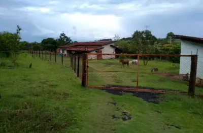 Fazenda à venda na Zona Rural, Pederneiras 