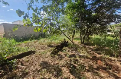 Casa à venda no Jardim Nicéia, Bauru 