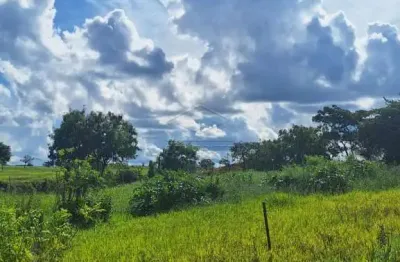 Casa à venda no Parque Val de Palmas, Bauru 